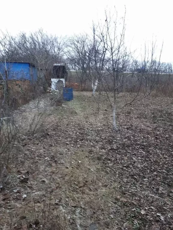 Участок 4 сот. (СНТ, ДНП) - Фото 1