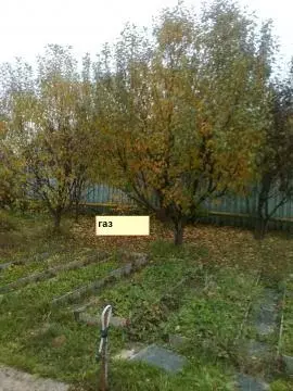 Продается дача в д. Лапино - Фото 1