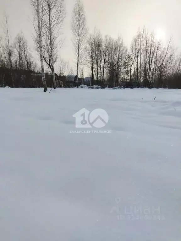 Участок в Новосибирская область, Новосибирск Тополь СНТ,  (8.0 сот.) - Фото 2