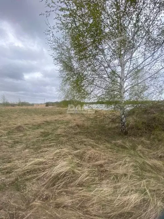 Участок в Челябинская область, Копейский городской округ, пос. ... - Фото 0
