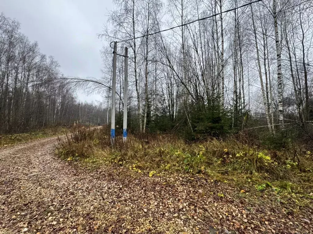Участок в Московская область, Мытищи городской округ, д. Муракино 5 ... - Фото 2