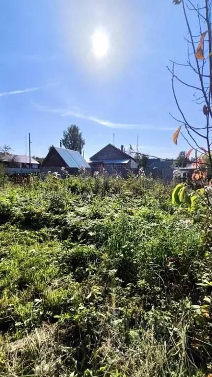 Участок в Пермский край, пос. Усть-Пизя ул. Лесная, 9 (13.0 сот.) - Фото 1