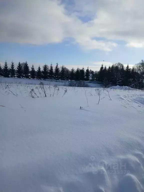 Участок в Московская область, Чехов муниципальный округ, с. Стремилово ... - Фото 1