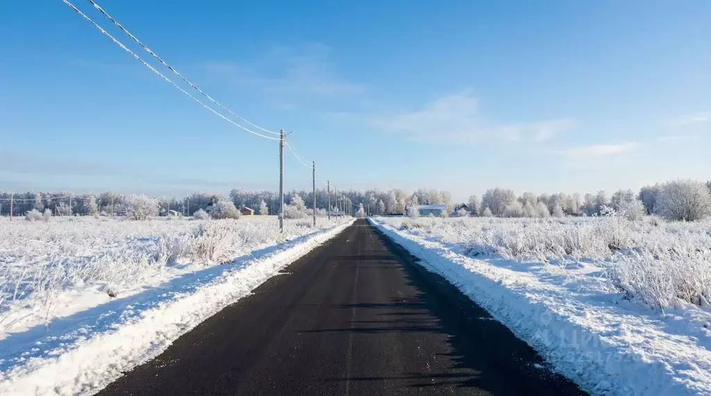 Участок в Московская область, Раменский муниципальный округ, Березки ... - Фото 2