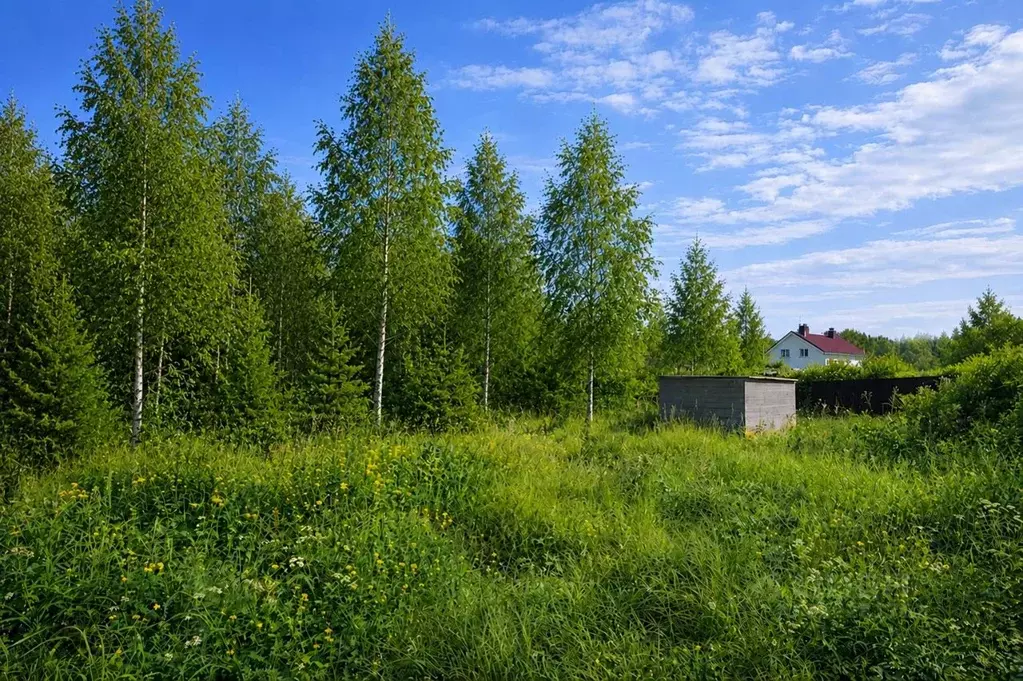 Участок в Московская область, Солнечногорск городской округ, д. Покров ... - Фото 2