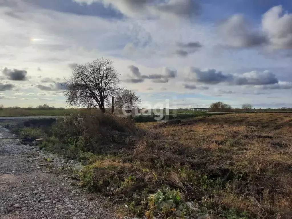 Участок в Калининградская область, Гурьевский муниципальный округ, ... - Фото 1