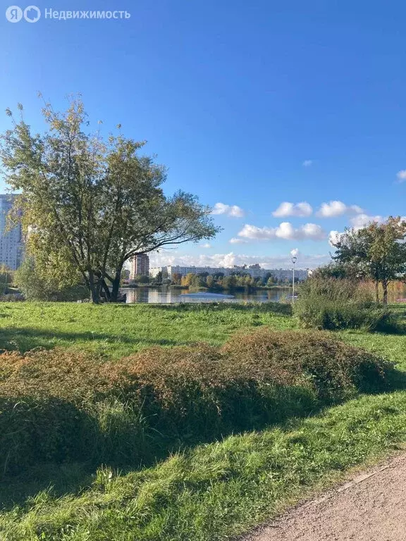 2-комнатная квартира: Санкт-Петербург, Малая Бухарестская улица, 3 ... - Фото 2