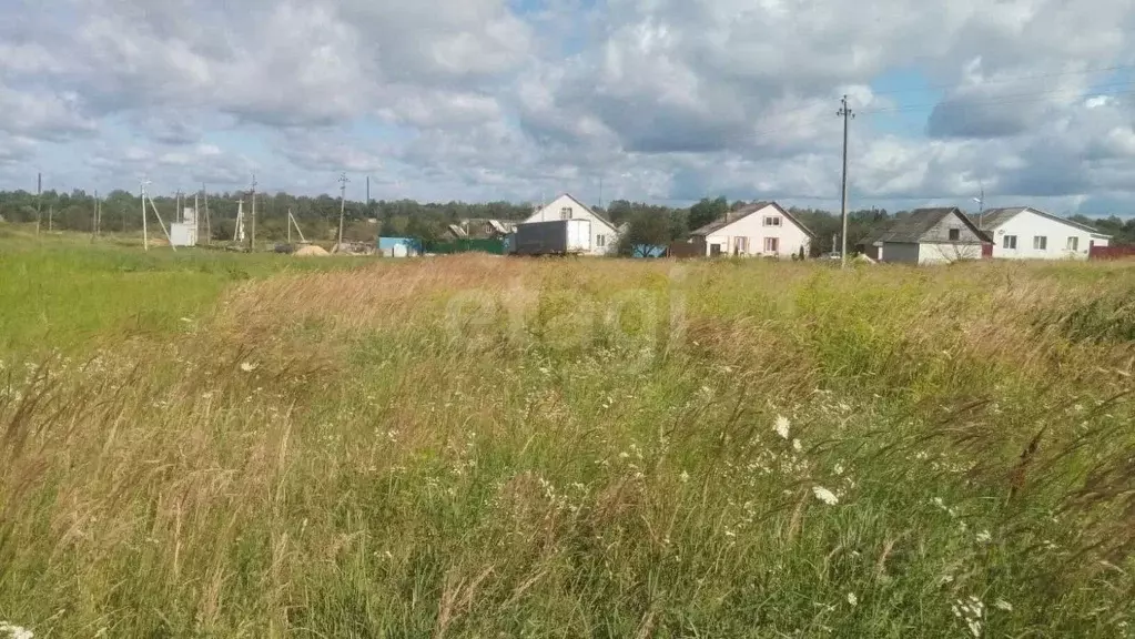 Участок в Брянская область, Трубчевск пер. 2-й Овражный (10.5 сот.) - Фото 1