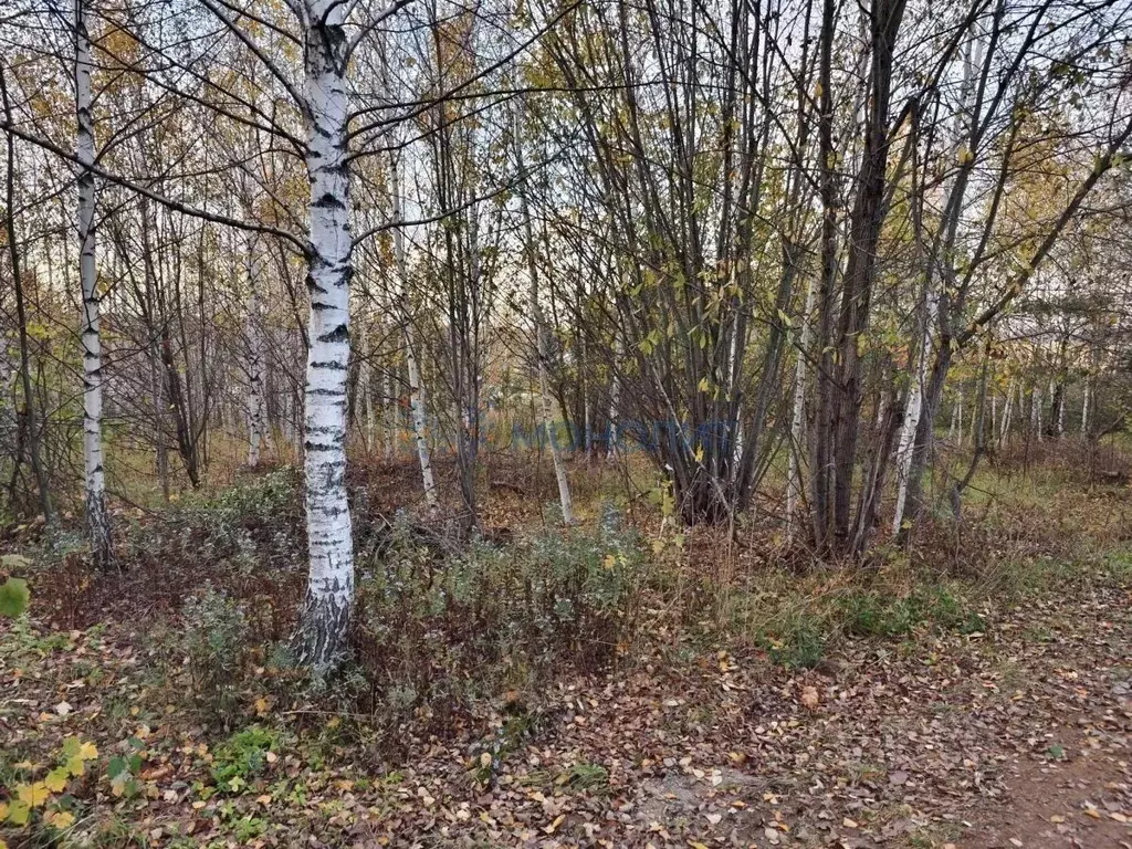 Участок в Нижегородская область, Нижний Новгород с. Новые Ключищи, ул. ... - Фото 2