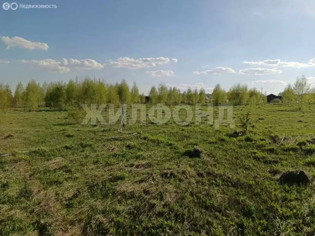 Участок в Каменский сельсовет, СНТ Бердский перекат, Сибирская улица ... - Фото 1