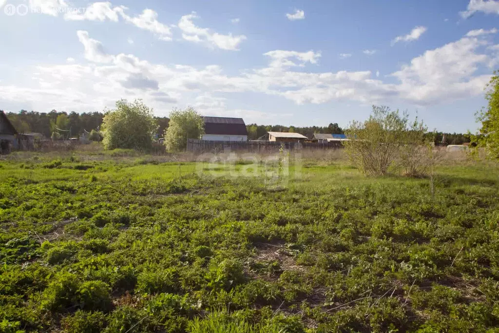 Участок в Тюменская область, Заводоуковский муниципальный округ, село ... - Фото 2