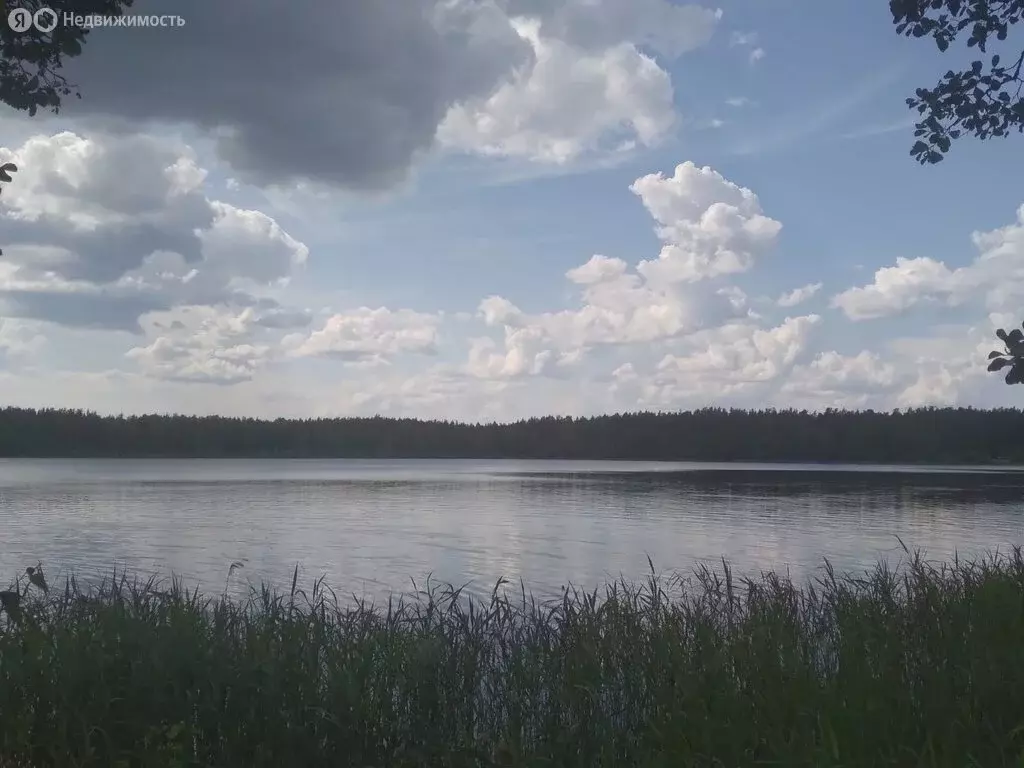 Участок в Московская область, муниципальный округ Шатура, деревня ... - Фото 0