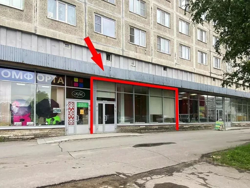 Помещение свободного назначения в Санкт-Петербург Народная ул., 5 (81 ... - Фото 2