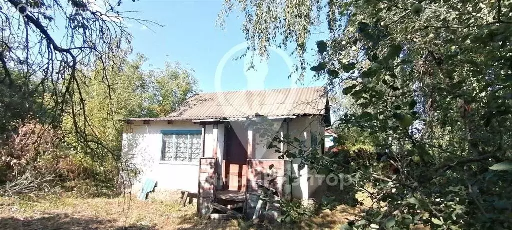 Дом в Рязанская область, Михайловский муниципальный округ, село ... - Фото 0