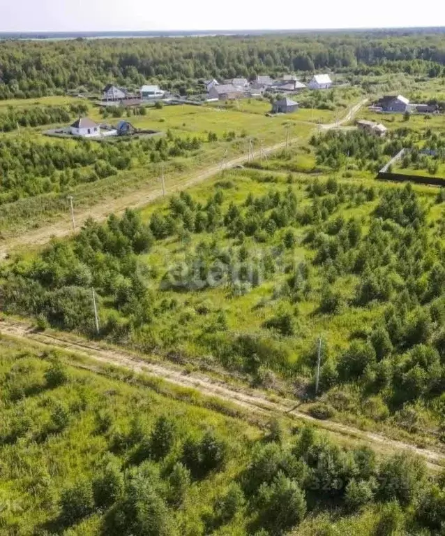 Участок в Тюменская область, Нижнетавдинский район, д. Московка  (12.0 ... - Фото 0