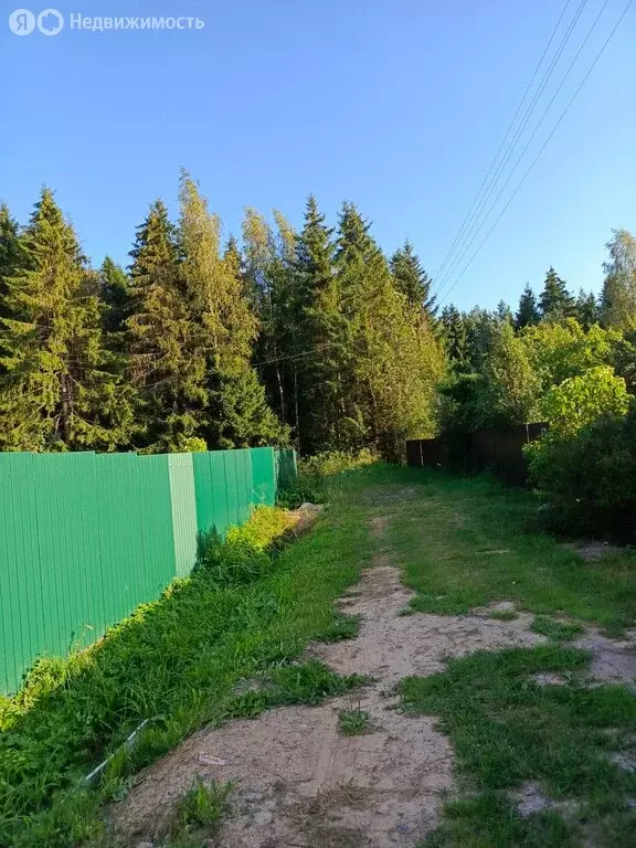 Участок в Ломоносовский район, Большеижорское городское поселение, СНТ ... - Фото 1