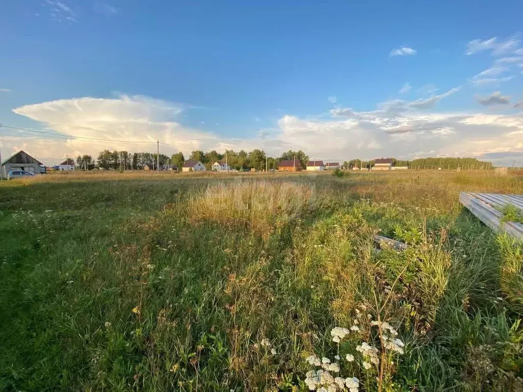 Участок в Новосибирская область, Коченево рп ул. Шоссейная, 24 (10.0 ... - Фото 1