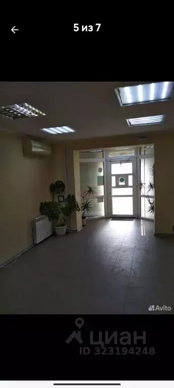 Помещение свободного назначения в Ростовская область, Ростов-на-Дону ... - Фото 1