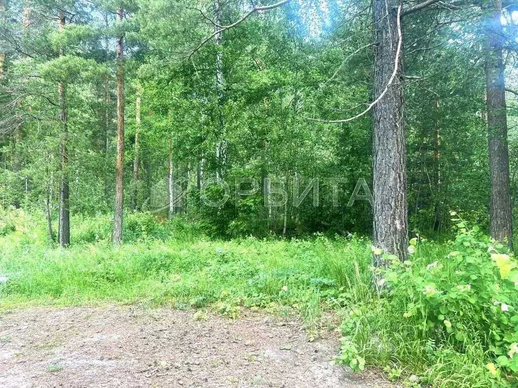 Участок в Тюменская область, Нижнетавдинский район, с. Тюнево ул. ... - Фото 1