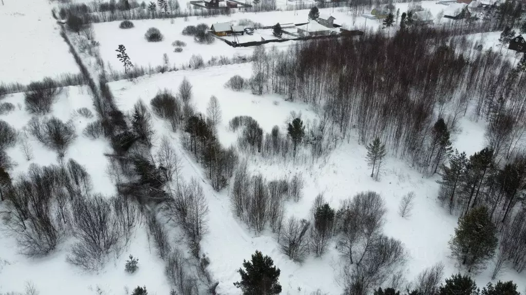 Участок в Томская область, Томский район, с. Тахтамышево ул. Яблочная, ... - Фото 1