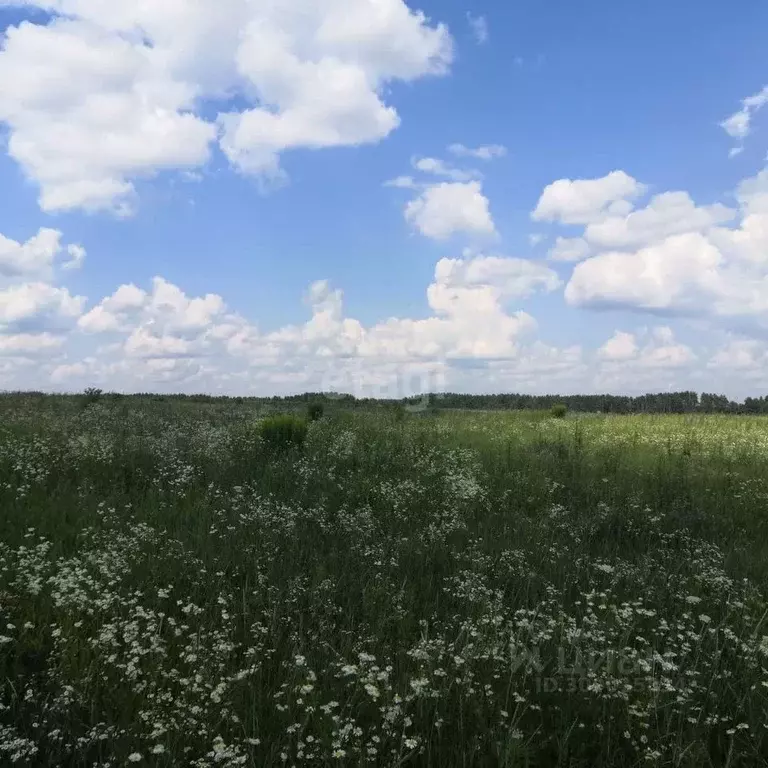 Участок в Брянская область, Брянский район, Новодарковичское с/пос, д. ... - Фото 1