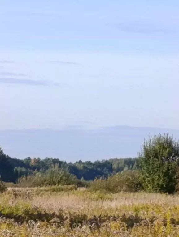 Участок в Калининградская область, Гурьевский муниципальный округ, ... - Фото 0