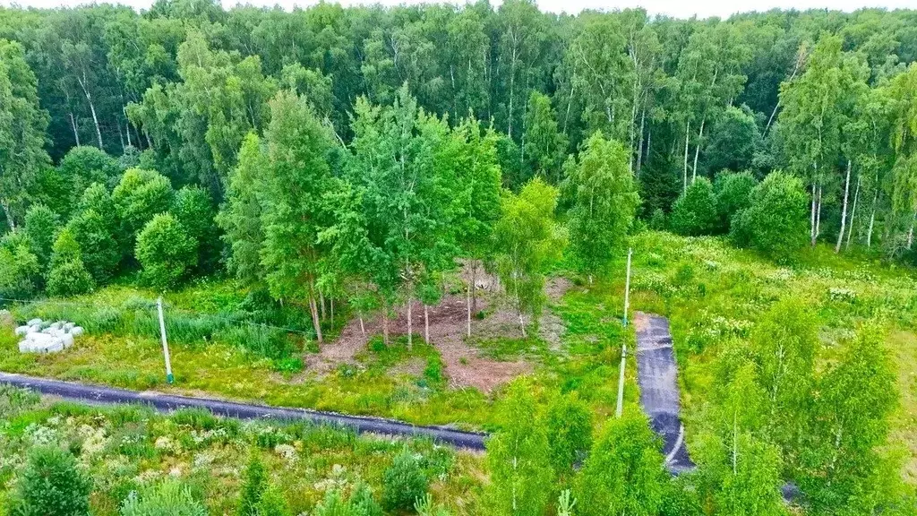 Участок в Московская область, Ступино городской округ, с. Ивановское  ... - Фото 2