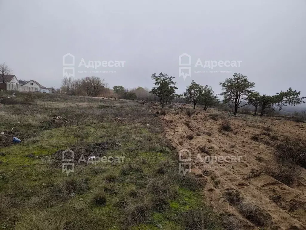 Участок в Волгоградская область, Городищенский район, Царицынское ... - Фото 1