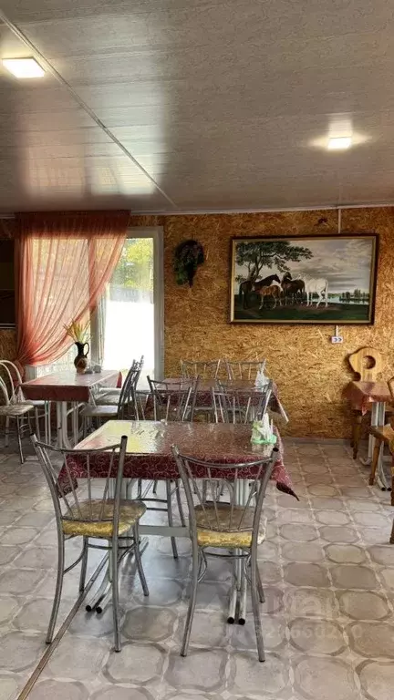 Помещение свободного назначения в Татарстан, Альметьевск ул. Ленина, ... - Фото 2