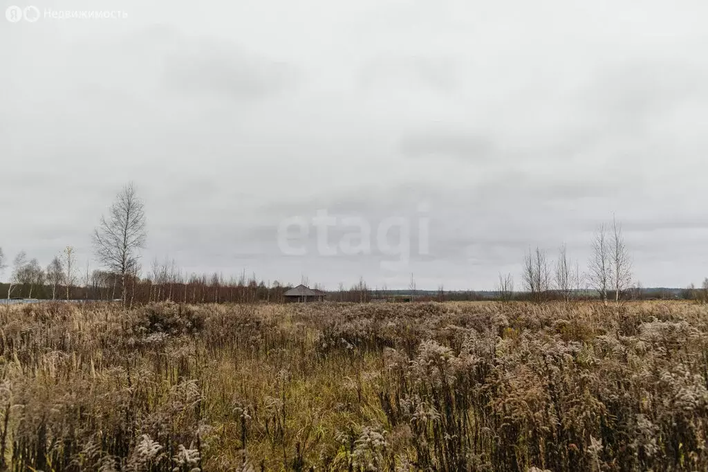 Участок в Тульская область, городской округ Тула, село Фёдоровка (20 ... - Фото 1