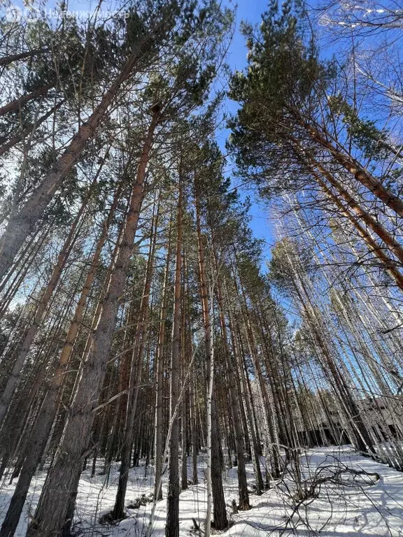 Участок в посёлок Габиевский, квартал Лисий Лес (13.76 м) - Фото 2