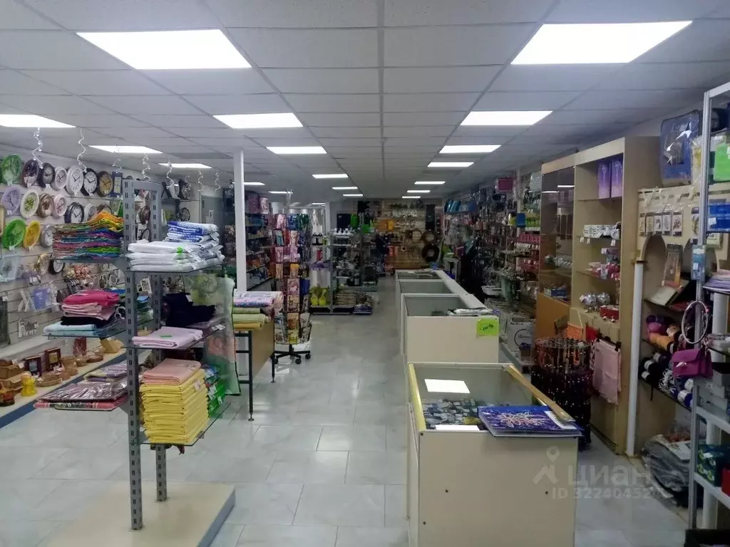 Торговая площадь в Владимирская область, Владимир Суздальский просп., ... - Фото 2