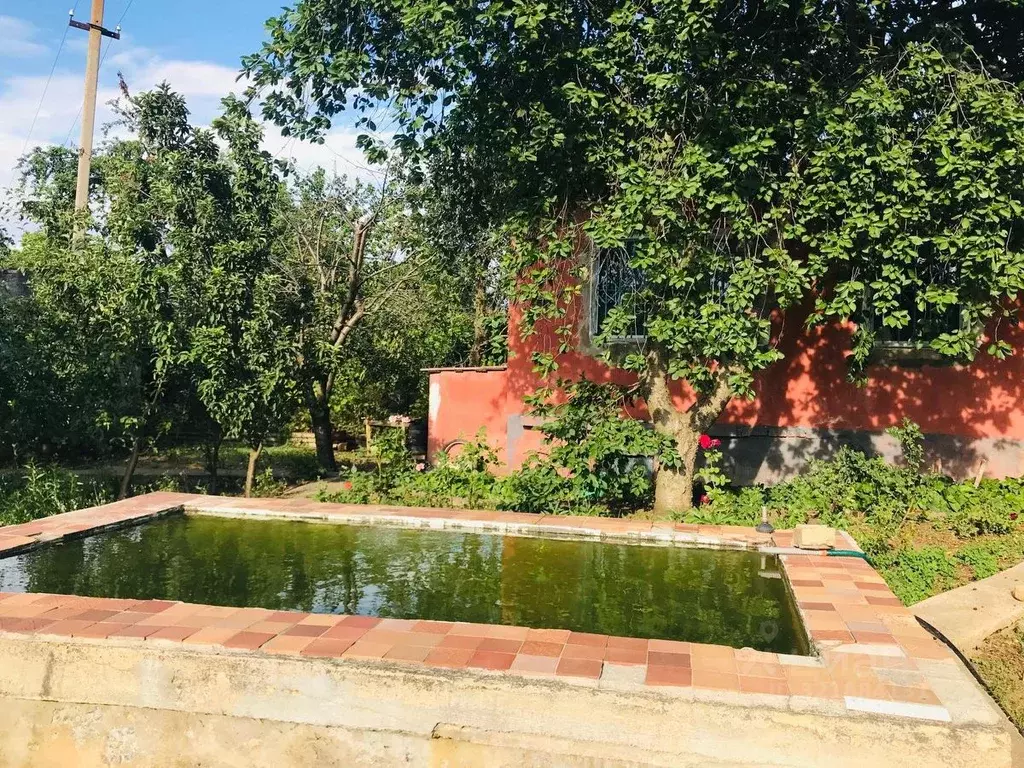 Дом в Крым, Сакский район, с. Орехово  (80 м) - Фото 2