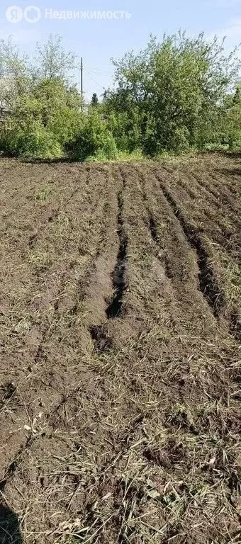 Участок в Миасс, СНТ Строитель-2 (5 м) - Фото 2