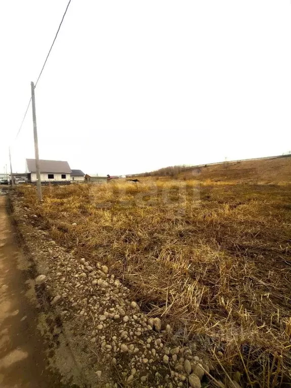 Участок в Алтай, Майминский район, пос. Карлушка Нагорная ул., 7 (6.3 ... - Фото 2