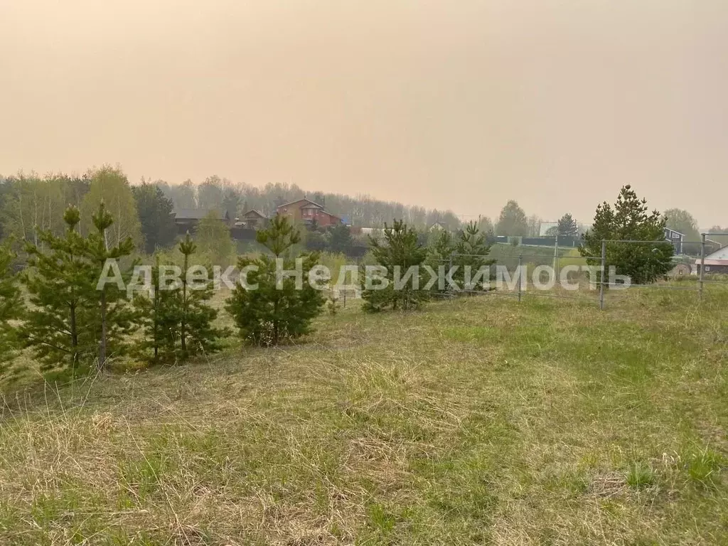 Участок в Тюменская область, Тюменский район, с. Кулига ул. Холмистая ... - Фото 0