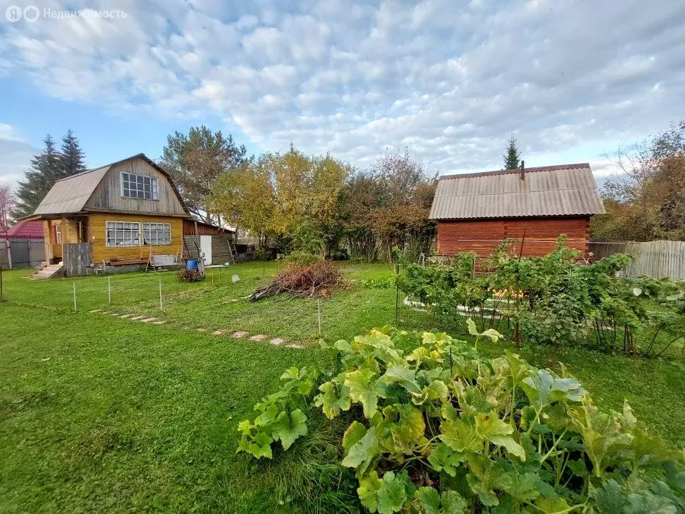 Дом в Колыванский район, садовое товарищество Калина красная (60 м) - Фото 2