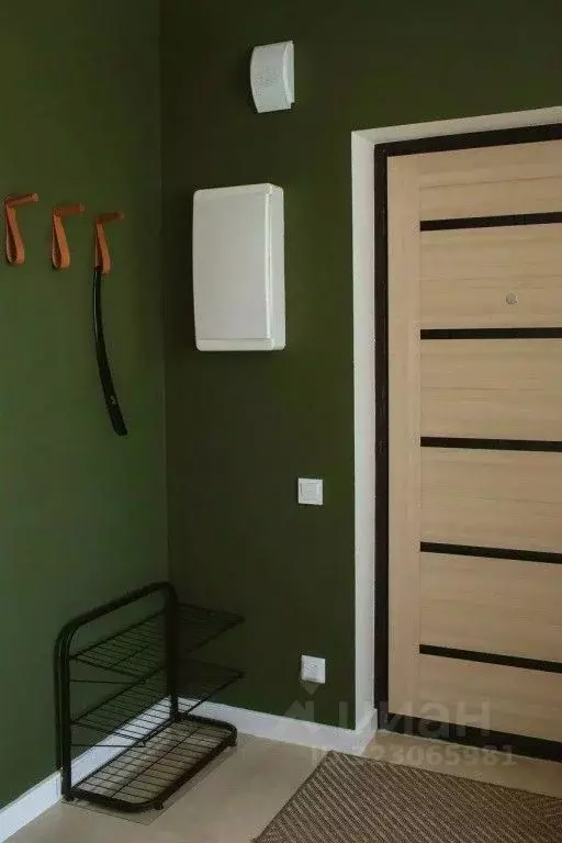 1-к кв. Челябинская область, Чебаркуль Санаторий Еловое тер., 11 (75.0 ... - Фото 2