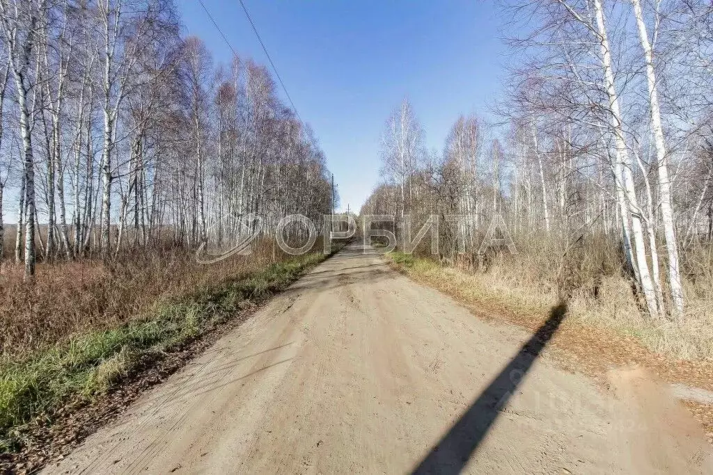 Участок в Тюменская область, Нижнетавдинский район, Аракчино СНТ ул. ... - Фото 1