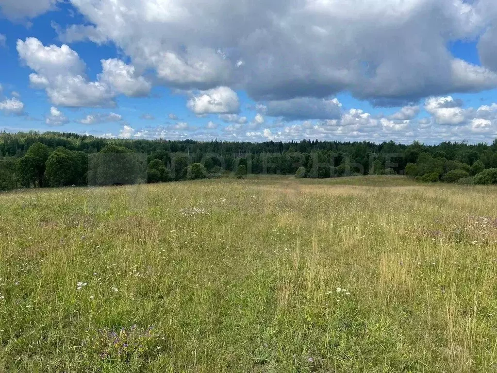 Участок в Новгородская область, Боровичский район, Прогресское с/пос, ... - Фото 1