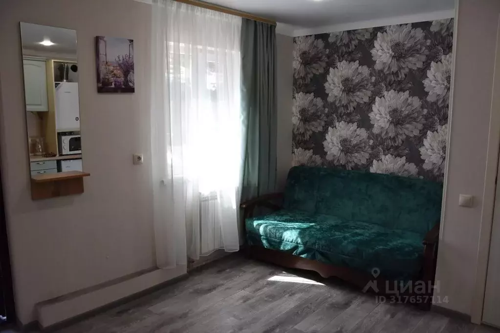 1-к кв. Ставропольский край, Кисловодск ул. Гагарина, 58 (20.0 м) - Фото 0