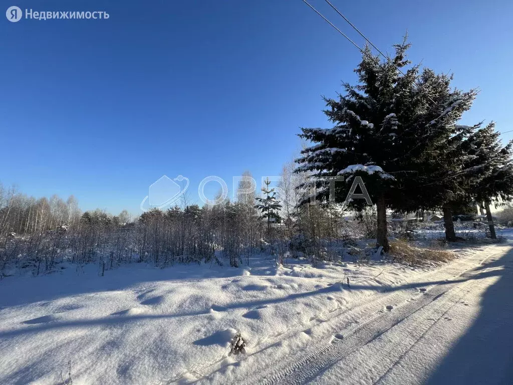 Участок в Нижнетавдинский район, сельскохозяйственный потребительский ... - Фото 0