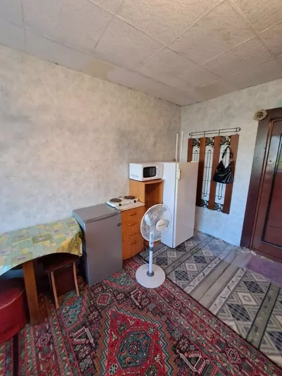 Студия Алтайский край, Барнаул ул. Эмилии Алексеевой, 60 (14.0 м) - Фото 2