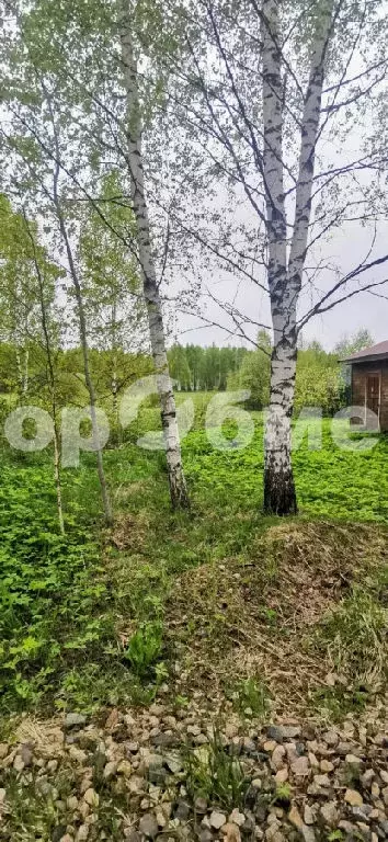 Продается участок в д. Лебзино - Фото 1