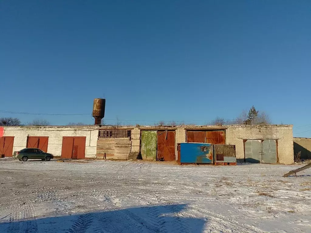 Помещение свободного назначения в Амурская область, Константиновский ... - Фото 0