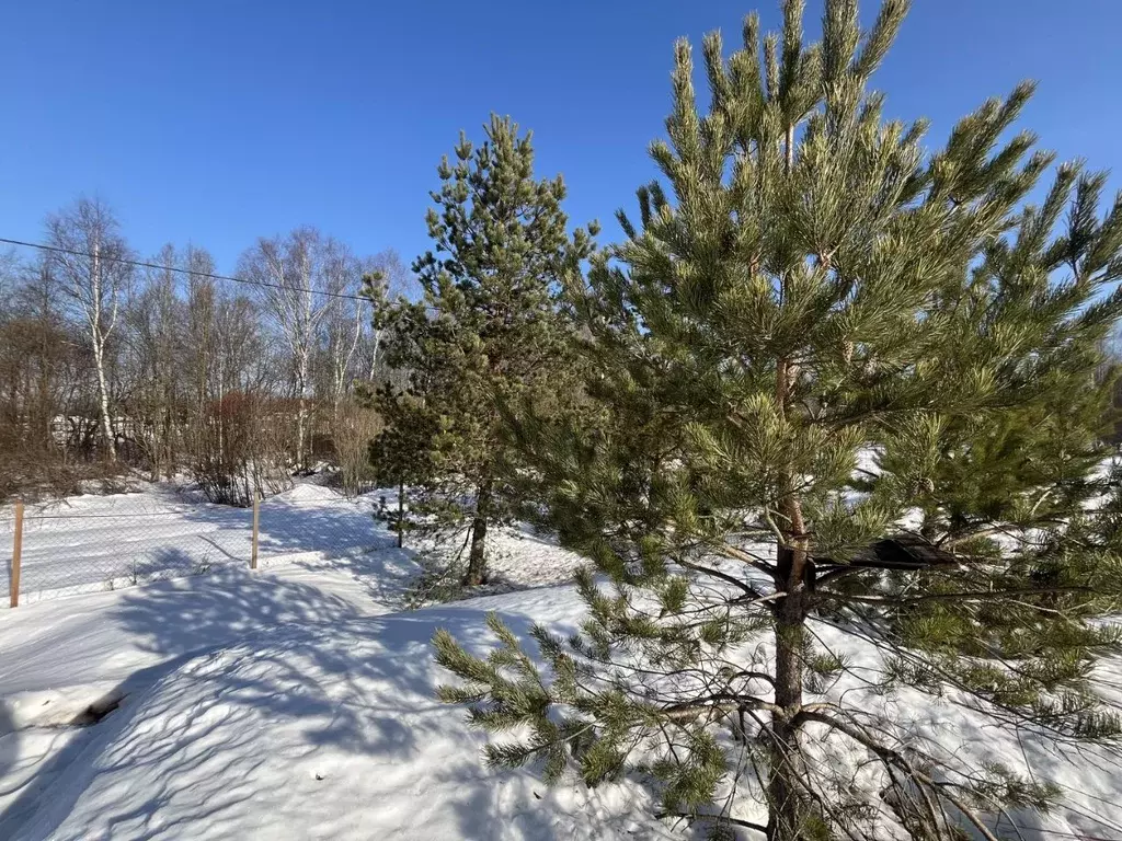 Участок в Владимирская область, Александровский муниципальный округ, ... - Фото 2