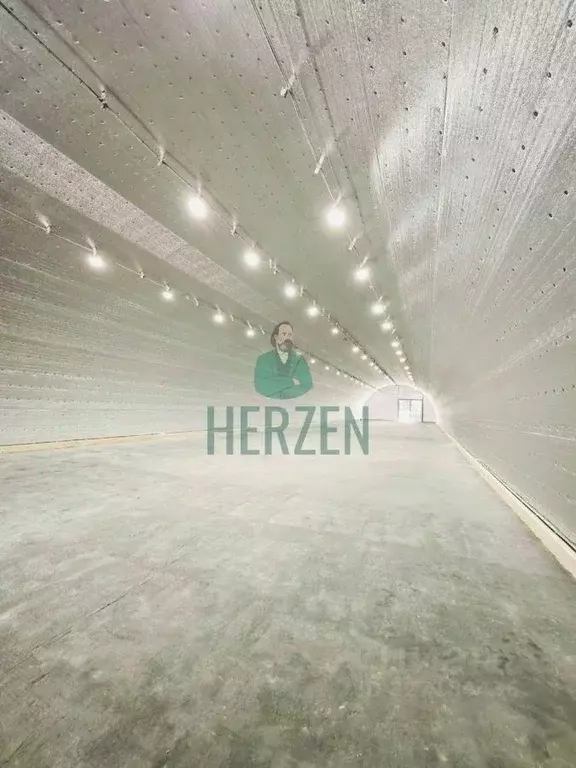 Производственное помещение в Московская область, Домодедово городской ... - Фото 1