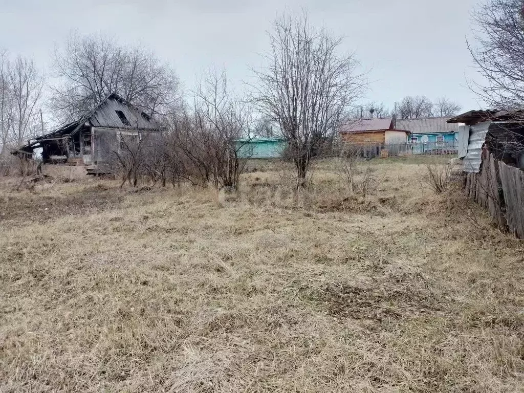 Участок в Хабаровский край, Имени Лазо район, Хор рп пер. 1-й ... - Фото 1
