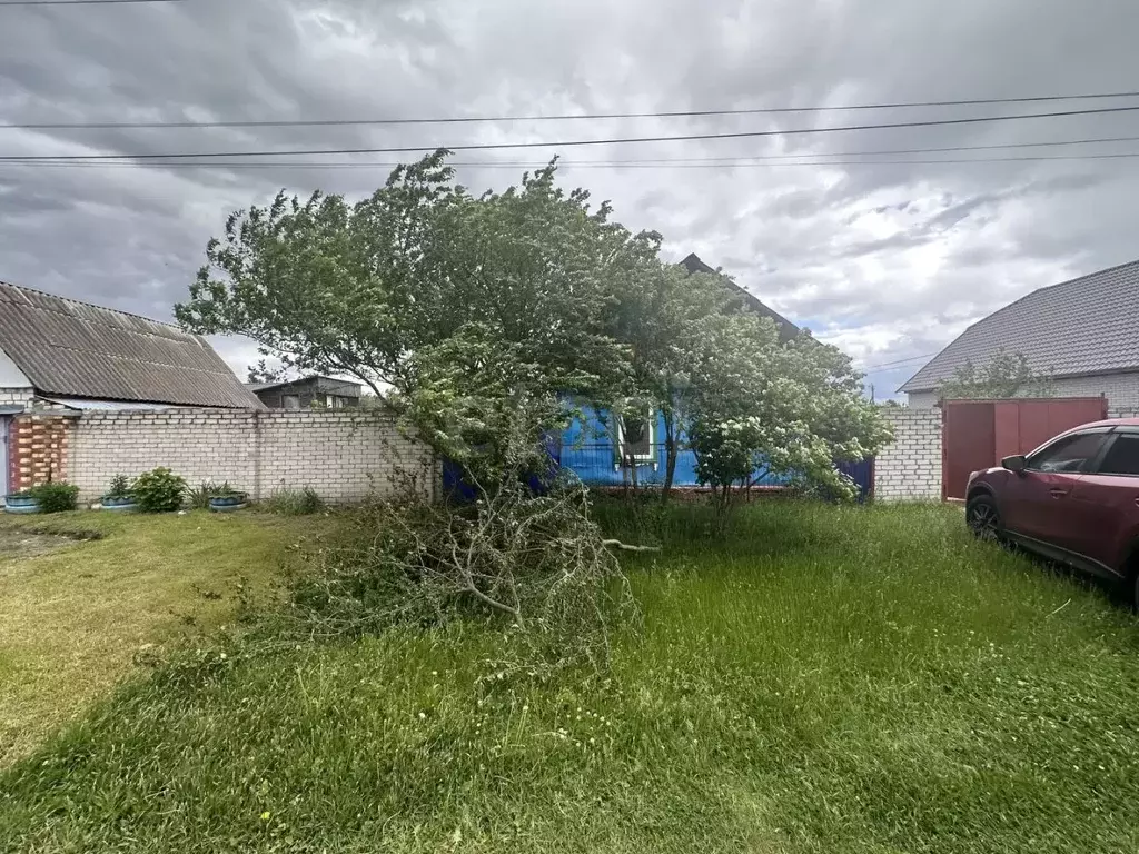 Дом в Брянская область, Клинцы ул. Красина (76 м) - Фото 1