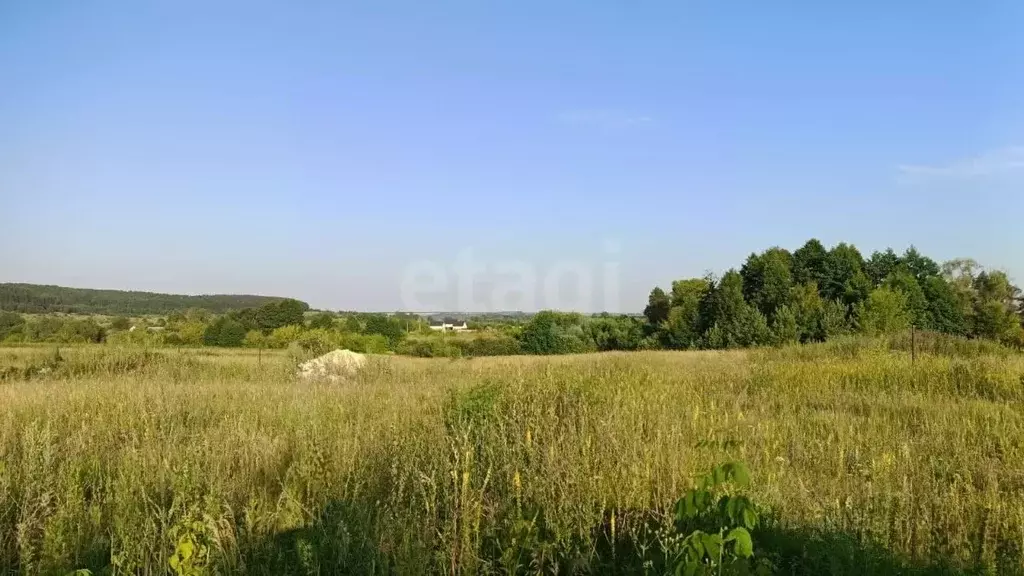 Участок в Мордовия, Лямбирский район, Пензятское с/пос, с. Пензятка  ... - Фото 2